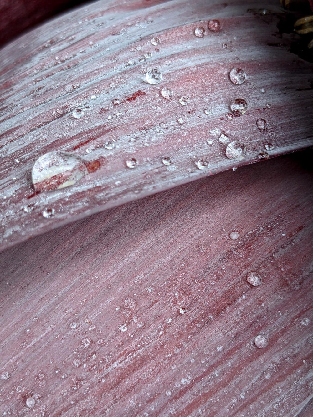 What is Nano Tantalum water?