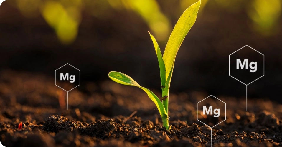 What is Nano Magnesium water?